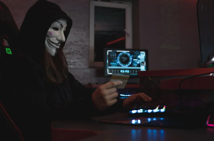 Cyber Fraud