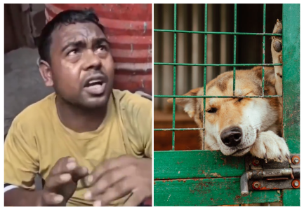 Dog Rape in Delhi