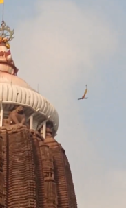Jagannath Puri Flag Video