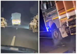 Cow Smuggling.