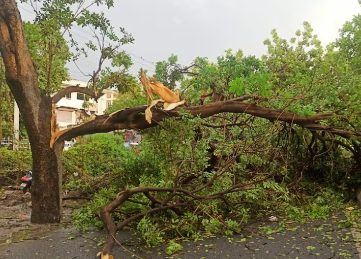 Delhi Weather