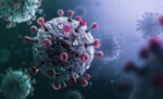 Corona Virus In Delhi NCR