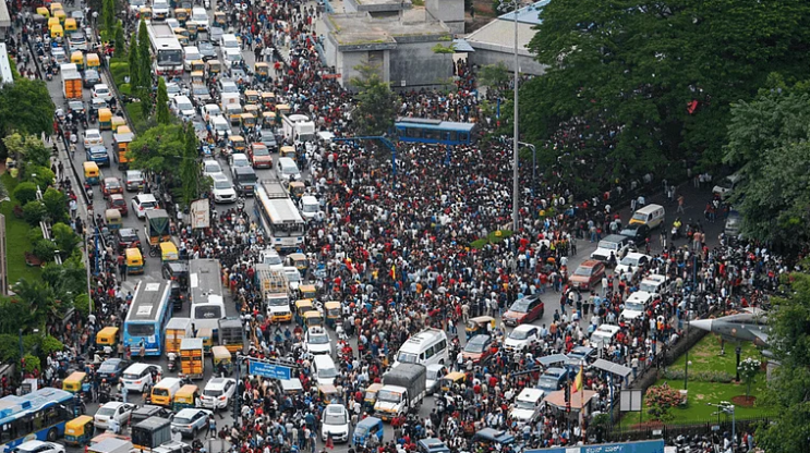 RCB Stampede