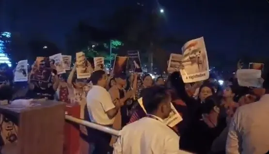 stray dogs issue in India 2025