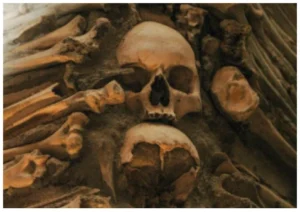 UK human skull demand: इस देश में एकाएक बढ़ी इंसानी खोपड़ी और हड्डियों की मांग, वजह जान कर चौंक जाएंगे.. 2 UK human skull demand