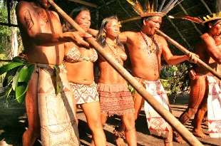 Amazon Jungle Secrets