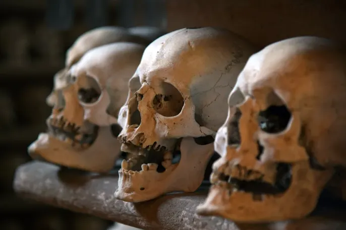UK human skull demand
