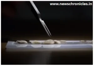 Flesh eating worm latest news