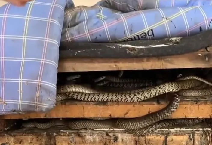 IMG-20250918-WA0007(1)